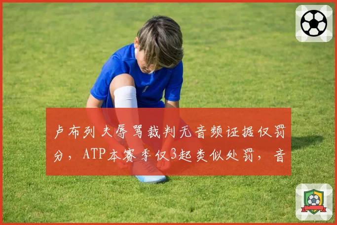 卢布列夫辱骂裁判无音频证据仅罚分,ATP本赛季仅3起类似处罚,音频监控缺失率达80%