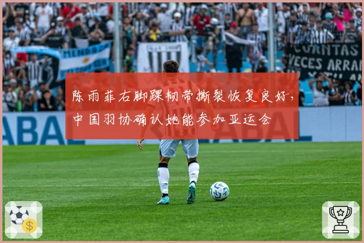 陈雨菲右脚踝韧带撕裂恢复良好，中国羽协确认她能参加亚运会