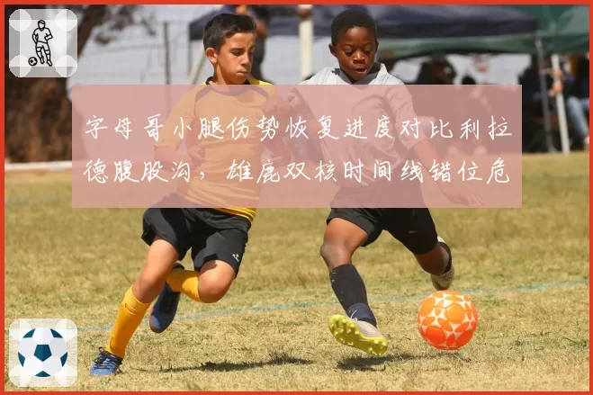 字母哥小腿伤势恢复进度对比利拉德腹股沟,雄鹿双核时间线错位危机