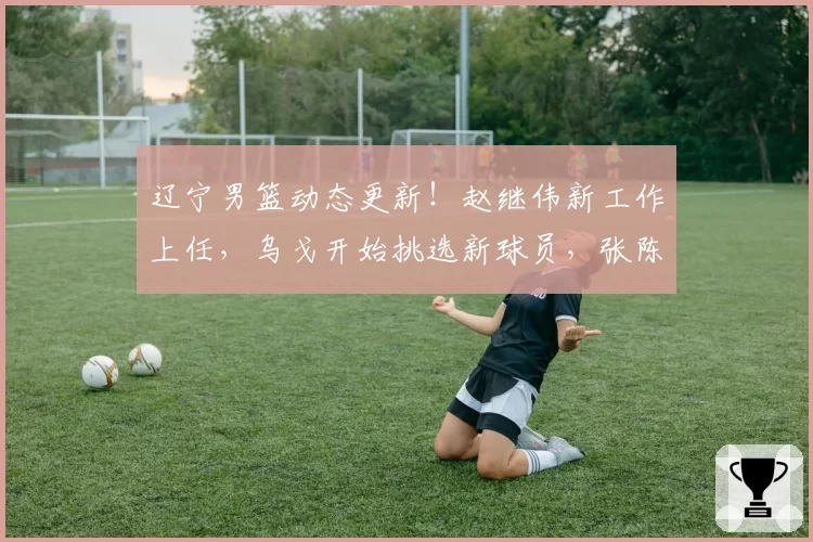 辽宁男篮动态更新！赵继伟新工作上任，乌戈开始挑选新球员，张陈治锋赴美与杨翰森一起特训