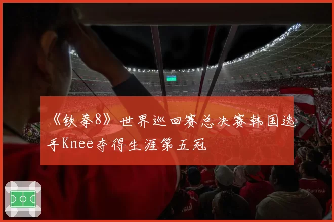 《铁拳8》世界巡回赛总决赛韩国选手Knee夺得生涯第五冠