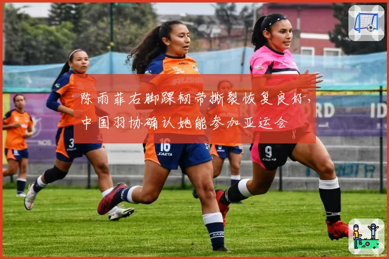 陈雨菲右脚踝韧带撕裂恢复良好，中国羽协确认她能参加亚运会