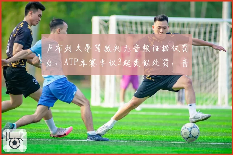 卢布列夫辱骂裁判无音频证据仅罚分,ATP本赛季仅3起类似处罚,音频监控缺失率达80%